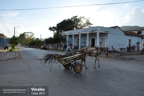 Cuba, Vinales, Siamak Travels 05