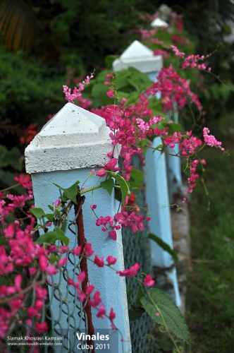 Cuba, Vinales, Siamak Travels 14