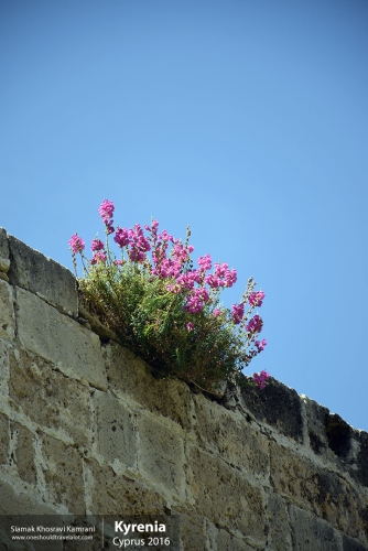 Cyprus, Kyrenia, Siamak Travels 05