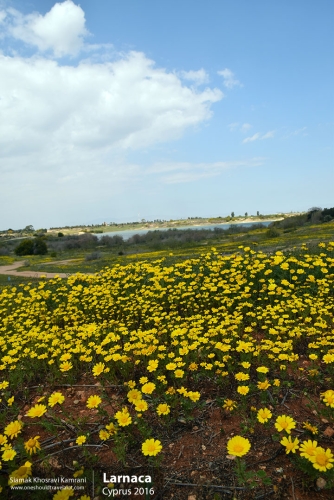 Cyprus, Larnaca, Siamak Travels 03