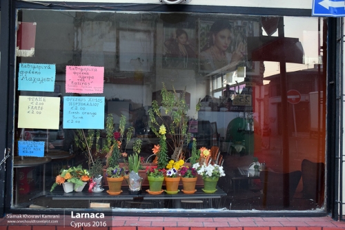 Cyprus, Larnaca, Siamak Travels 48