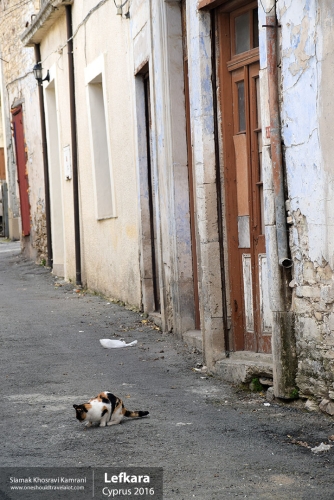 Cyprus, Lefkara, Siamak Travels 32
