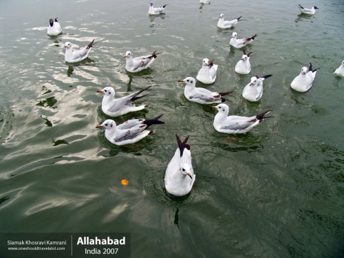 India, Allahabad, Siamak Travels 01