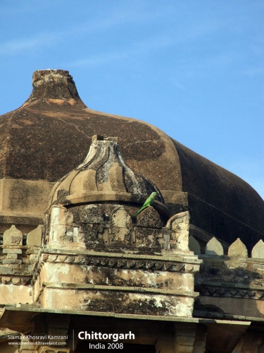 India, Chittorgarh, Siamak Travels 10