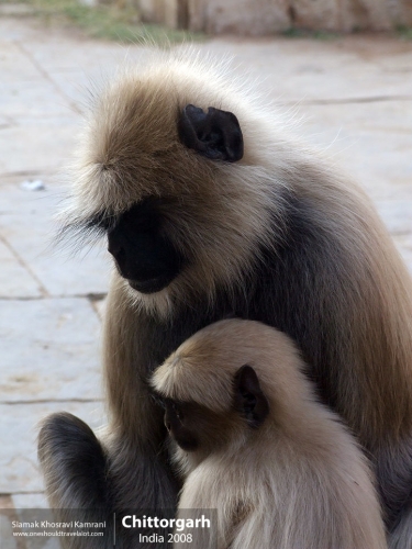 India, Chittorgarh, Siamak Travels 17