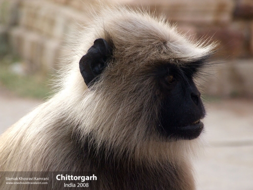 India, Chittorgarh, Siamak Travels 18