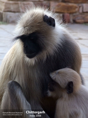 India, Chittorgarh, Siamak Travels 19