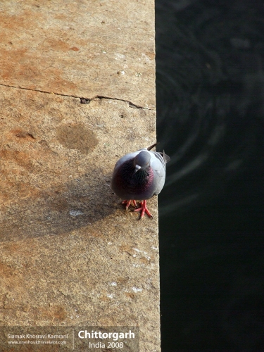 India, Chittorgarh, Siamak Travels 24