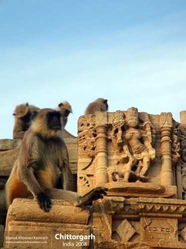 India, Chittorgarh, Siamak Travels 25