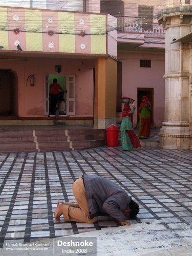 India, Deshnoke, Siamak Travels 09