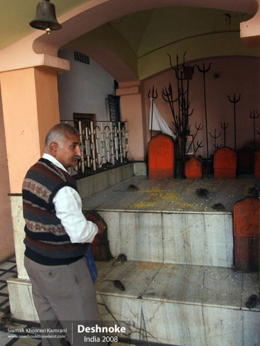 India, Deshnoke, Siamak Travels 10