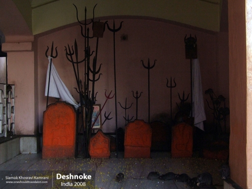 India, Deshnoke, Siamak Travels 11