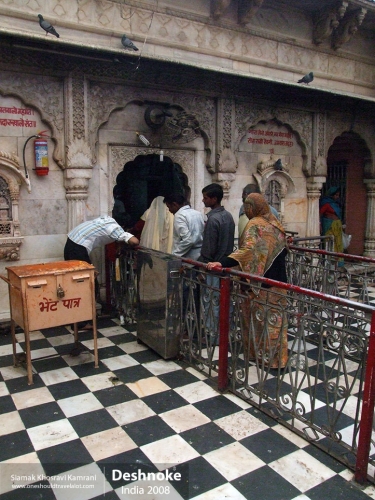 India, Deshnoke, Siamak Travels 19