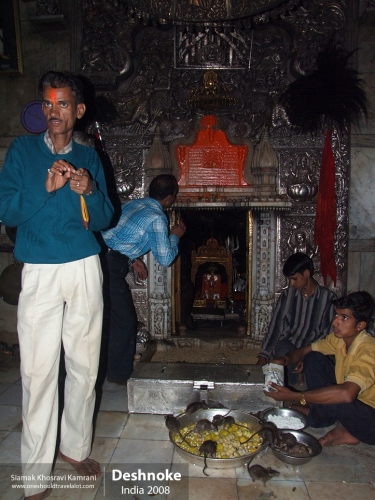 India, Deshnoke, Siamak Travels 24