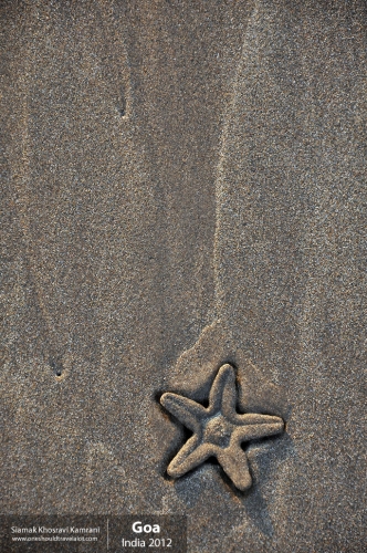India, Goa, Siamak Travels 039