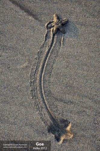 India, Goa, Siamak Travels 041