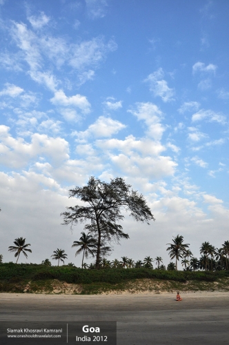 India, Goa, Siamak Travels 043