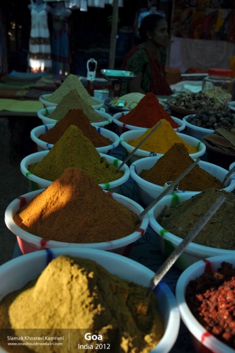 India, Goa, Siamak Travels 054