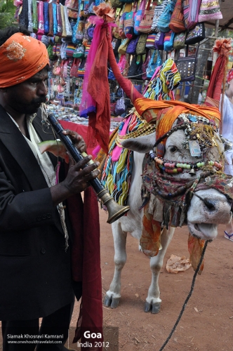 India, Goa, Siamak Travels 061