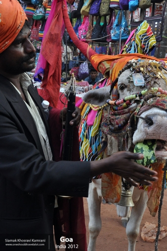 India, Goa, Siamak Travels 062