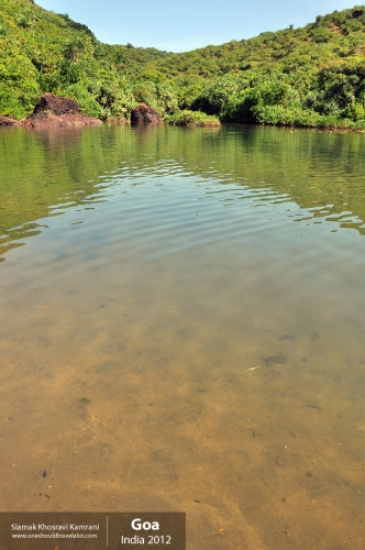 India, Goa, Siamak Travels 068