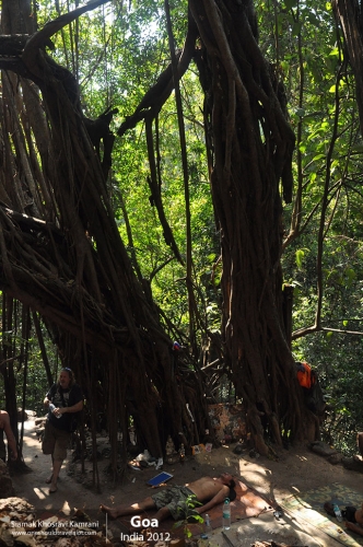 India, Goa, Siamak Travels 072