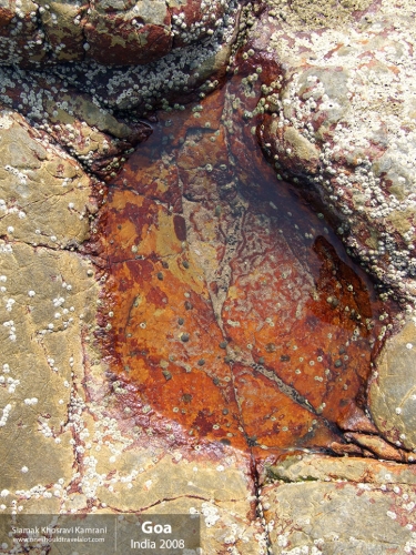 India, Goa, Siamak Travels 083