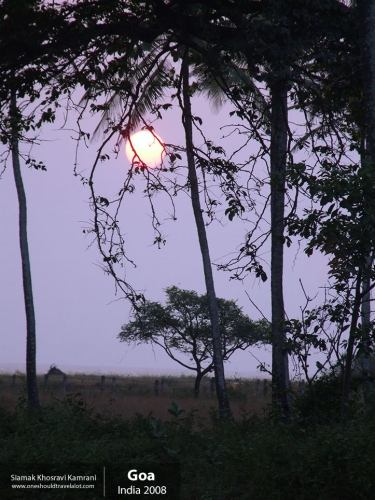 India, Goa, Siamak Travels 084