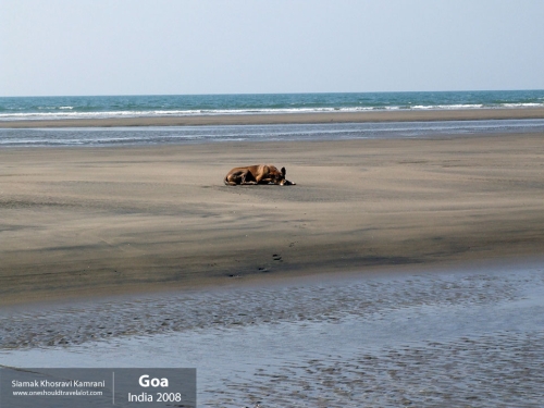 India, Goa, Siamak Travels 086