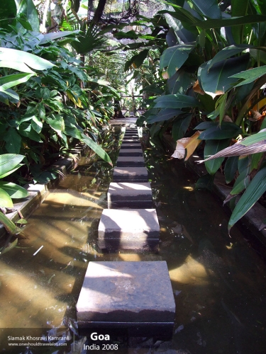 India, Goa, Siamak Travels 091