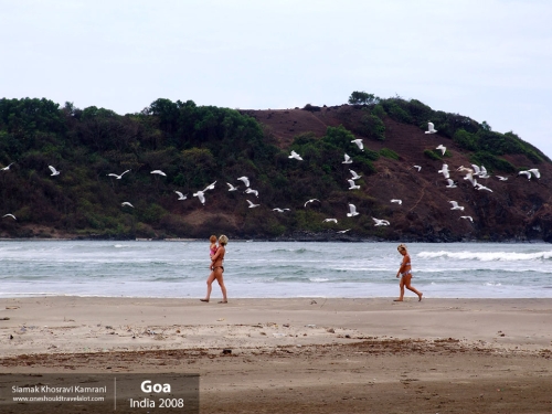 India, Goa, Siamak Travels 096
