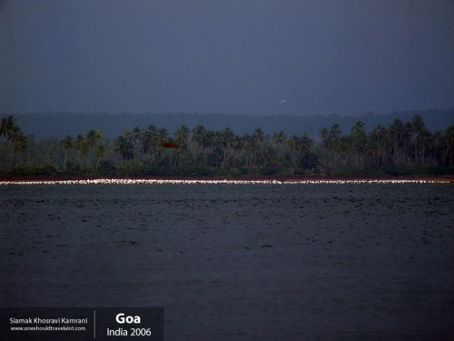 India, Goa, Siamak Travels 105