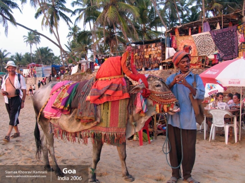India, Goa, Siamak Travels 114