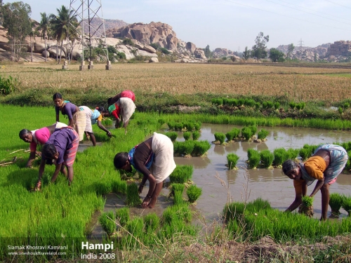 India, Hampi, Siamak Travels 12