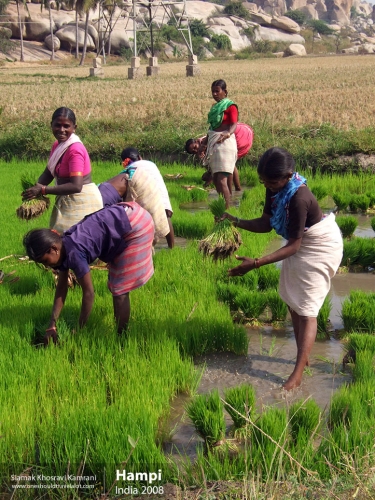 India, Hampi, Siamak Travels 13