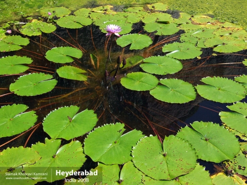 India, Heyderabad, Siamak Travels 23