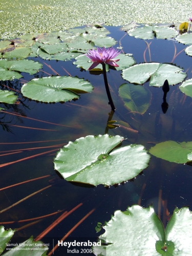 India, Heyderabad, Siamak Travels 24