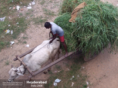 India, Heyderabad, Siamak Travels 28