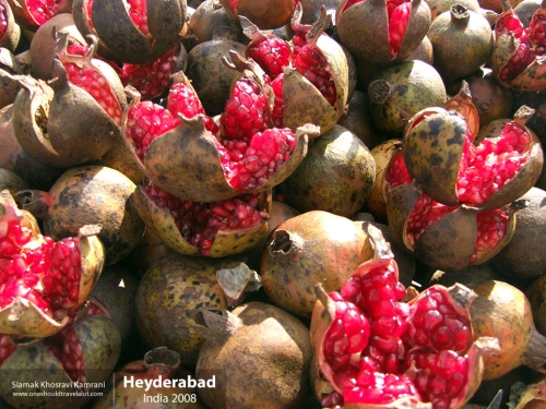 India, Heyderabad, Siamak Travels 29