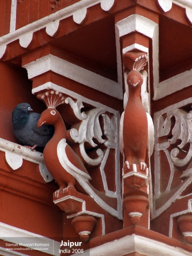 India, Jaipur, Siamak Travels 017