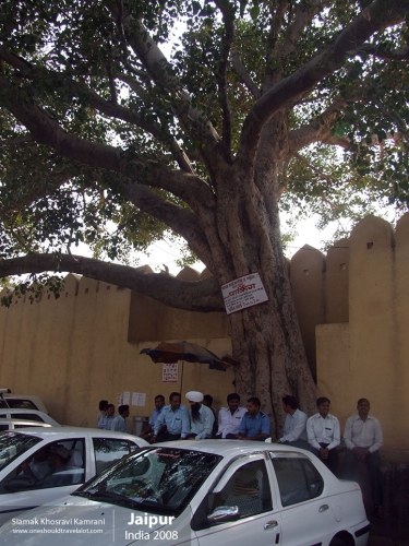 India, Jaipur, Siamak Travels 049