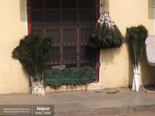 India, Jaipur, Siamak Travels 051