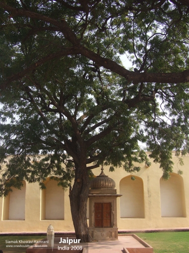 India, Jaipur, Siamak Travels 055