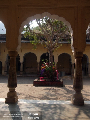 India, Jaipur, Siamak Travels 136