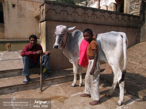 India, Jaipur, Siamak Travels 152