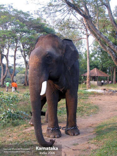 India, Karnataka, Siamak Travels 1