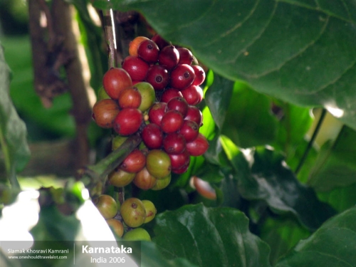 India, Karnataka, Siamak Travels 3