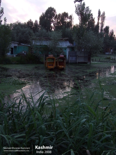 India, Kashmir, Siamak Travels 09