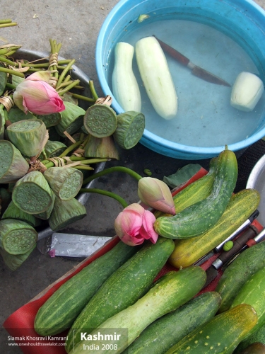 India, Kashmir, Siamak Travels 14