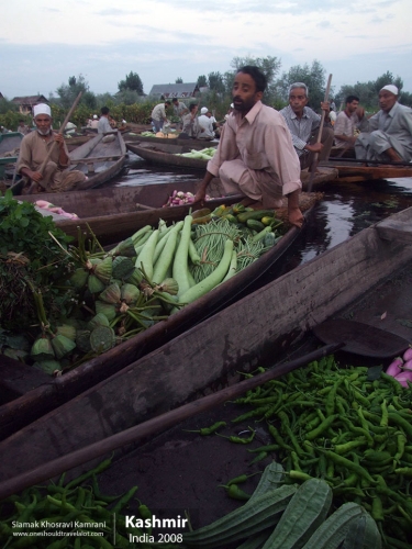 India, Kashmir, Siamak Travels 24